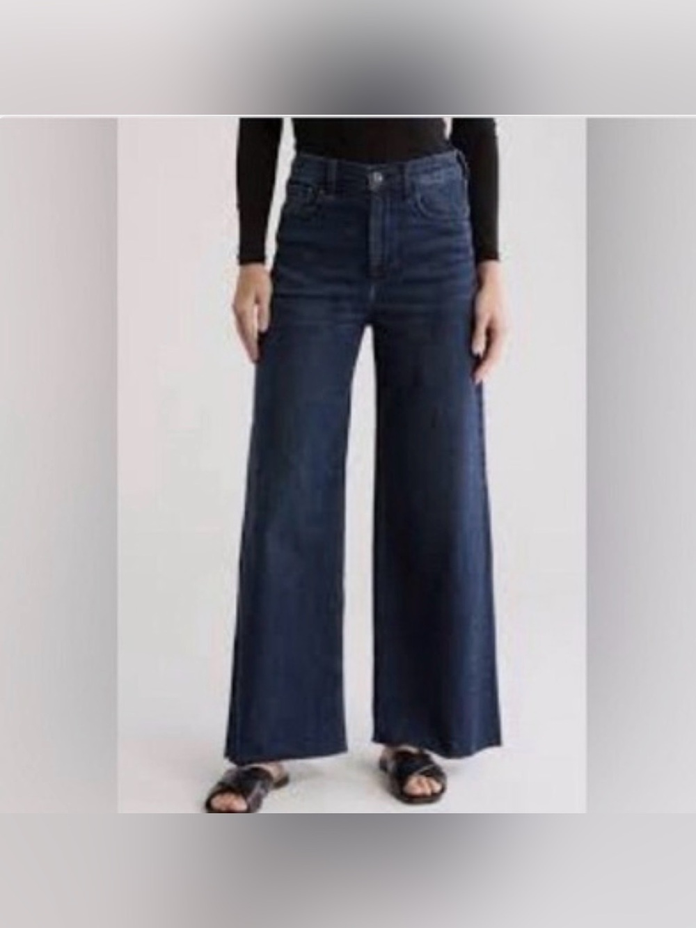 Rag & Bone Serena High Rise Wide Leg Jeans 29
